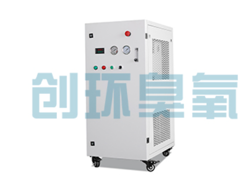 路南石斑鱼养殖水质调控完整指南:臭氧发生器配置与操作步骤