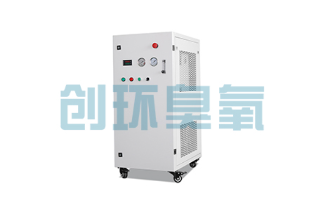 路南比传统换水更高效?臭氧发生器在石斑鱼养殖中的水质净化原理解析